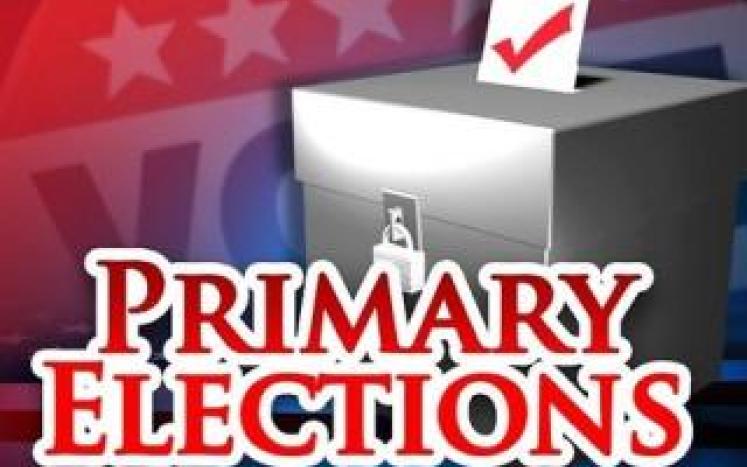 State Primary 2022